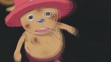 A Akuma no Mi do Tipo Zoan! As Sete Transformações de Chopper!