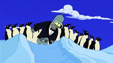 The Birdbot of Ice-Catraz
