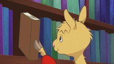 Petit lama adore lire