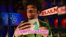 Épisode 13