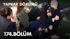 Épisode 174