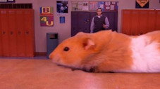 Épisode 18