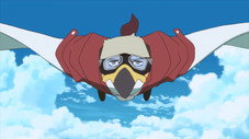 Un albatros errant