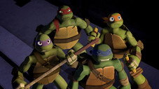 L'apparition des Tortues (2)