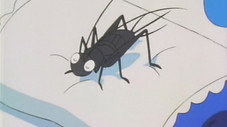 Épisode 105