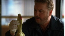 CSI-Episode: Two and a Half Deaths