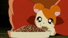 Reviens, Hamtaro !