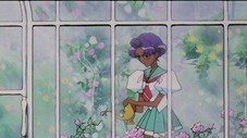 La fiancée de la Rose