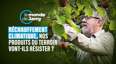 Réchauffement climatique : nos produits du terroir vont-ils résister ?