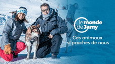 Ces animaux si proches de nous !