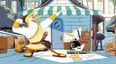 Storkules in Duckburg!
