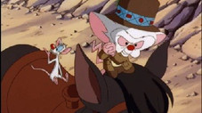 Brainy Jack