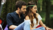 Épisode 7