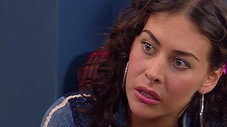 Épisode 247