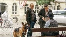 Voir Vienne et mourir