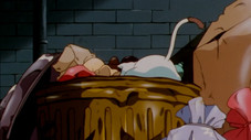 Épisode 11
