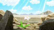 Épisode 20