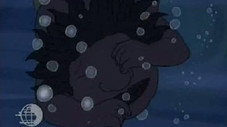 Épisode 14