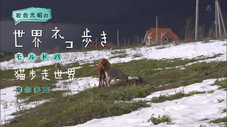 Épisode 50