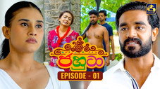 Épisode 1