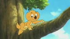 Épisode 9