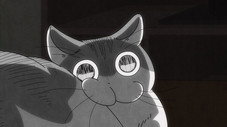 Épisode 25