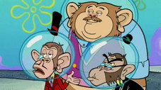 Chimps Ahoy
