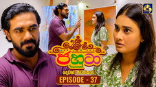 Épisode 37