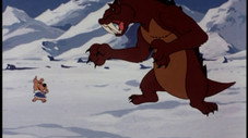 Alaskan King Coward