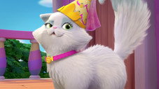 Joyeux channiversaire !