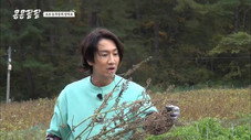 Épisode 8