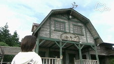 Épisode 11