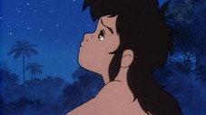 Le cœur brisé