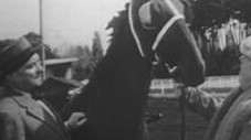 L'Avoine et l'oseille