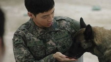 Épisode 9