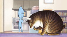 Épisode 11