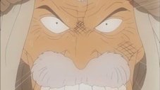 Correr Para um Milagre! Alabasta, Reino Animal.