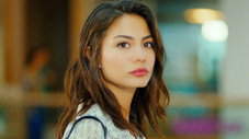 Erkenci Kuş