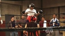 Todo Mundo Odeia Boxe