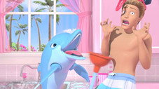 Dauphins domestiques