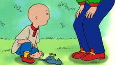 Caillou a peur de grandir