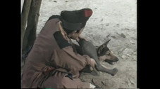 Épisode 7