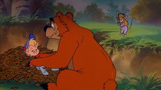Qui veut la peau de l'ours du camping ?