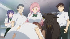 Épisode 7