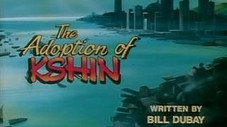 L’adoption de Kshin