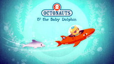 Le bébé dauphin