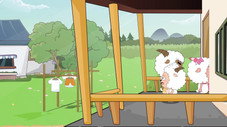 Épisode 254