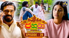 Épisode 28