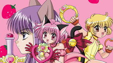 Turning into a Cat – Justice Lies in a Girl in Love ~Nya!