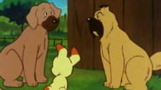 Le chiot dérive sur la rivière